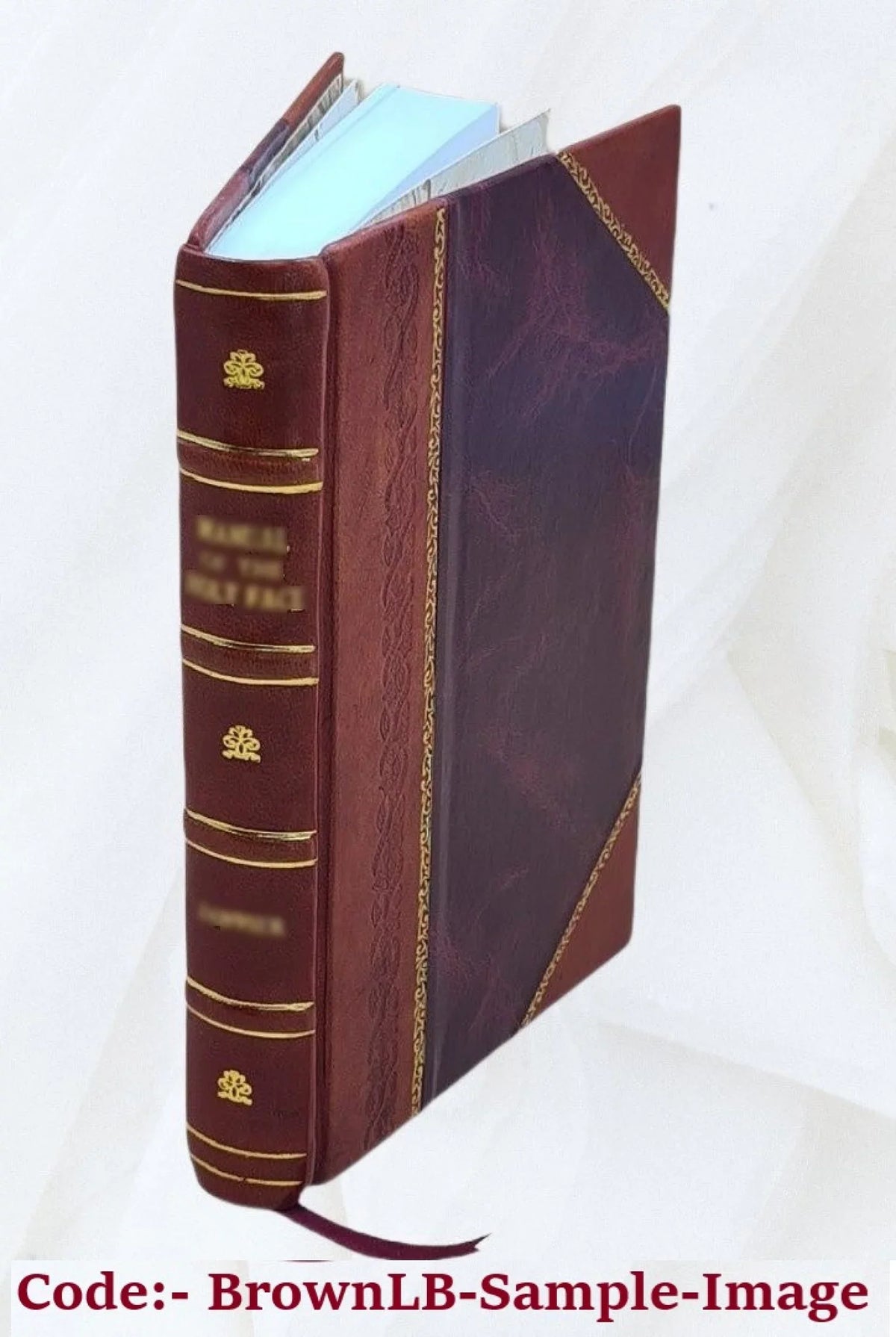 Up-to-date air-brake catechism; a complete study of the equipment manufactured by the Westinghouse Air Brake Company 1907 [Leather Bound]