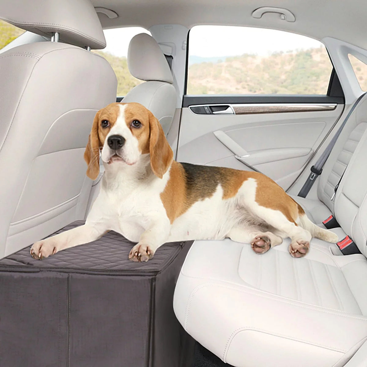 MSizeR Imports Dog Car Back Sizeeat Extender Sizeafer More Cozy Back Sizeeat Platform and Sizetorage Black