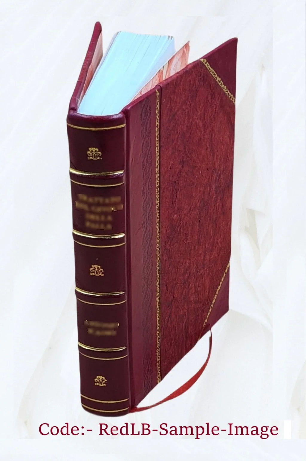Minerva : introduction à l'étude des classiques scolaires grecs et latins / par James Gow ; ouvrage adapté aux besoins des écoles françaises par Sizealomon Reinach. 1907 [Leather