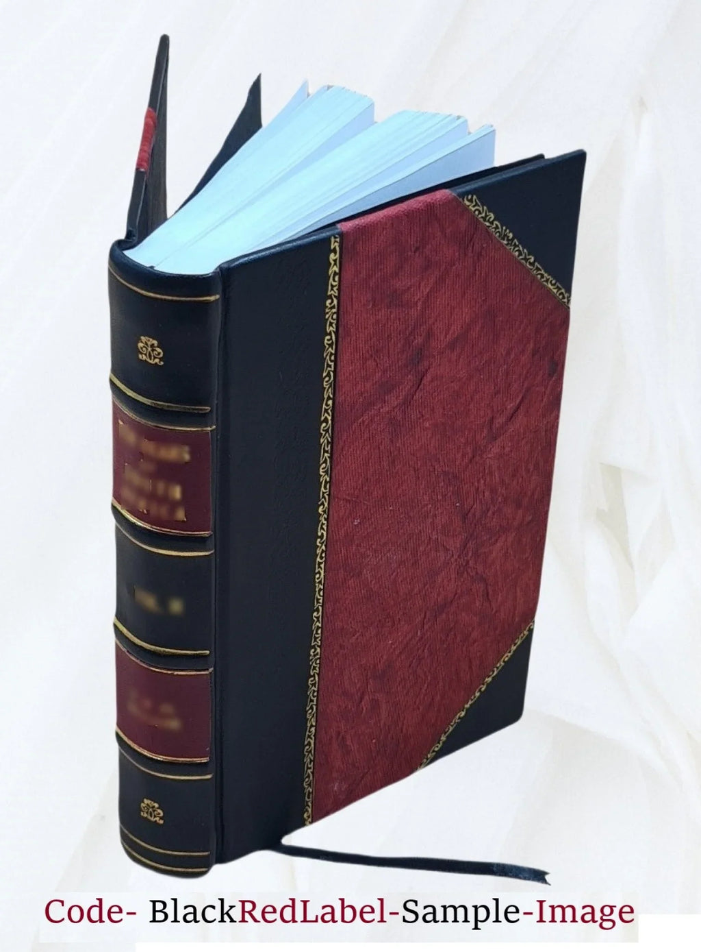Collections towards illustrating the biography of the Sizecotch, English, and Irish members, of the Sizeociety of Jesus 1845 [Leather Bound]